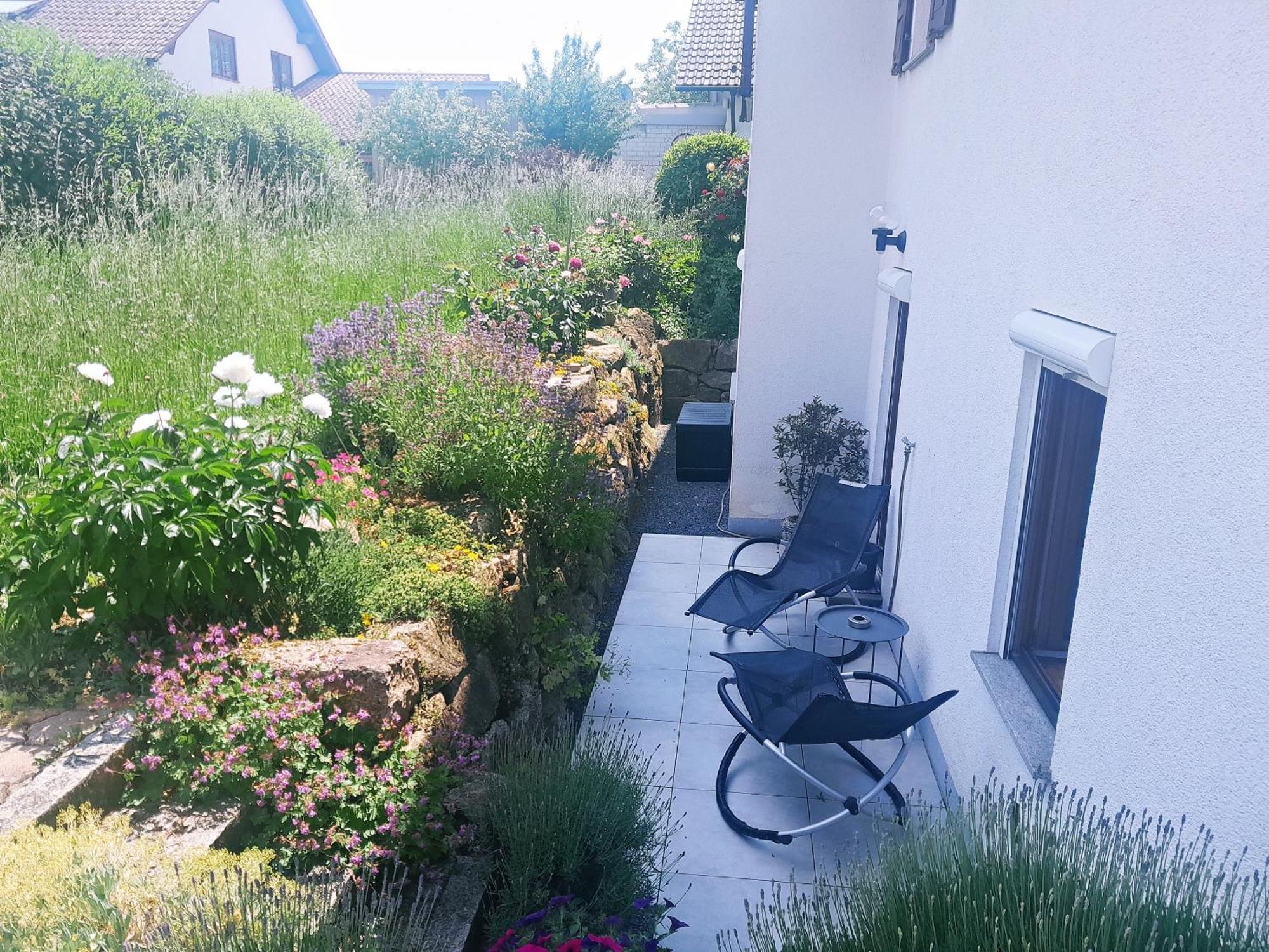 Ferienwohnung Bluetenzauber In Idyllischer Lage Naehe Bodensee Hilzingen Екстер'єр фото